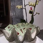 Πανσιόν Zorzis 3*